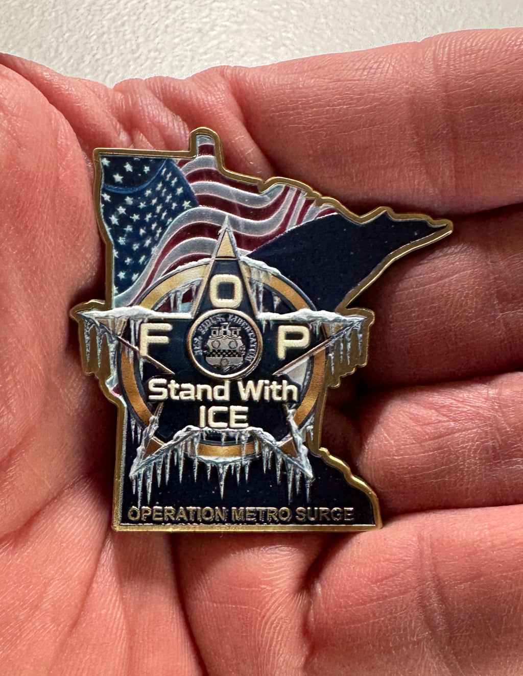 ICE Operation Metro Surge Challenge Coin