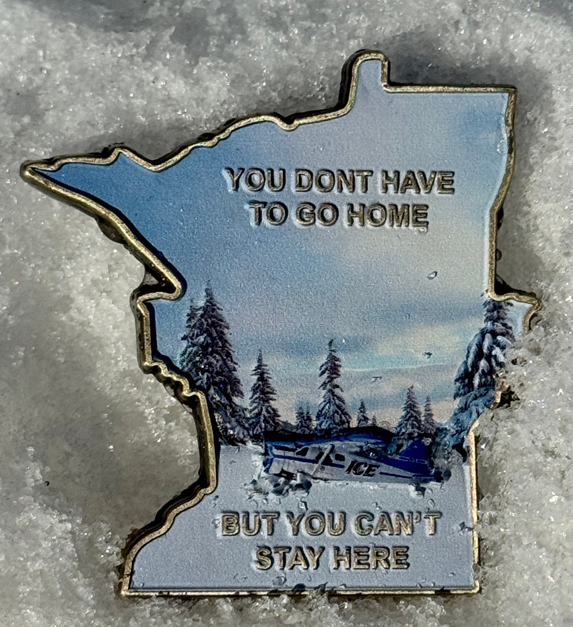 ICE Operation Metro Surge Challenge Coin